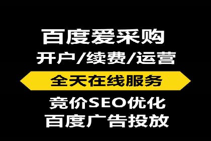 落地页在SEM优化中的重要性及成功案例